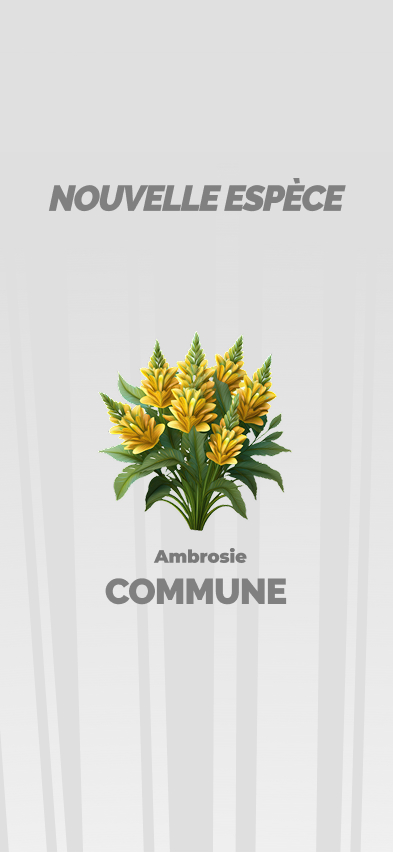 BioQuest - Gallery 2